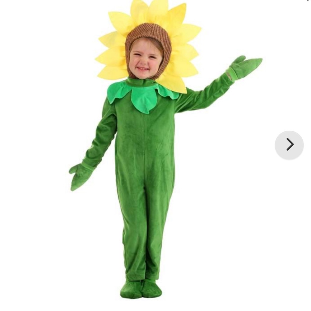 Toddler Flower Costume 2T